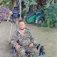 Лев