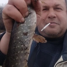 Харитон
