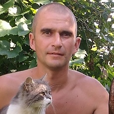 Стёпа
