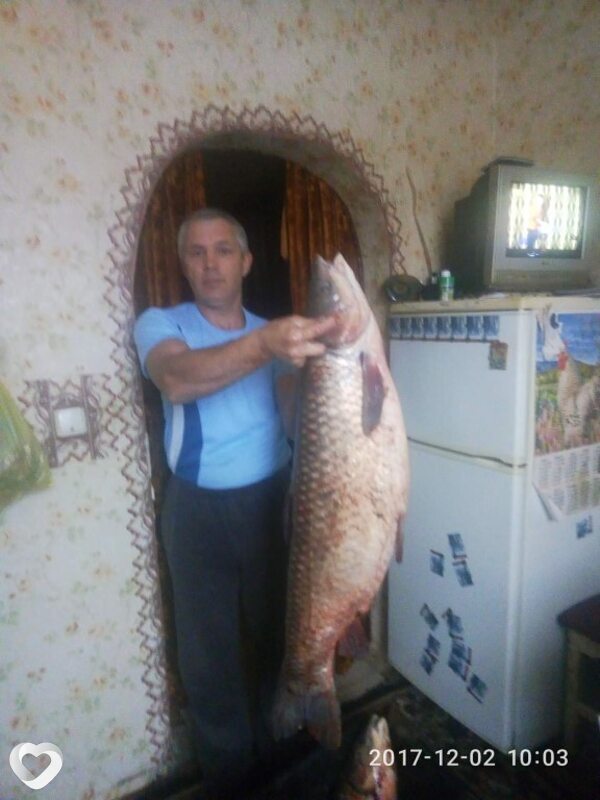 Альбик