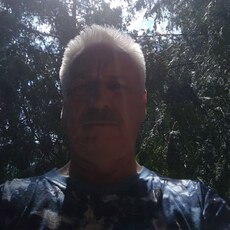 Лев