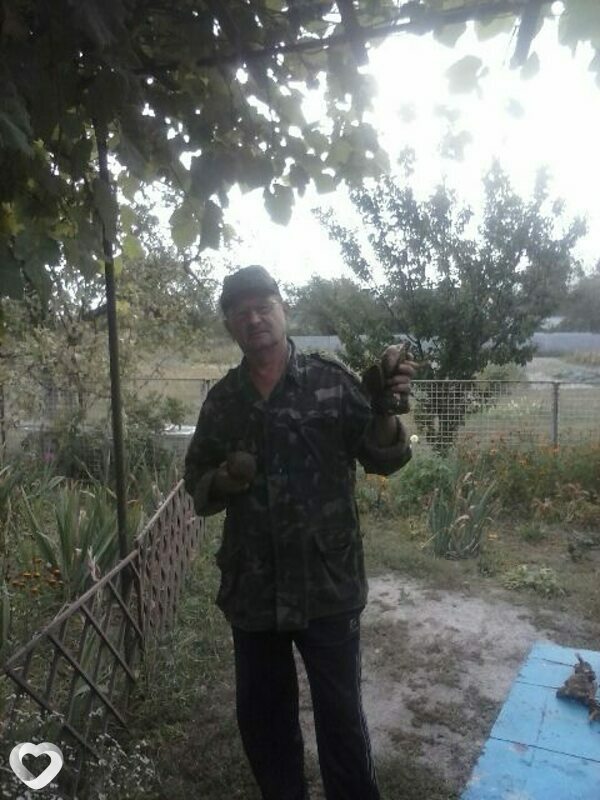 Ростик