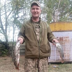 Давидик
