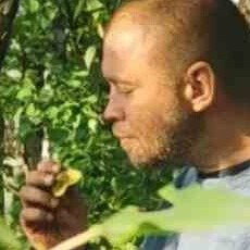 Ден