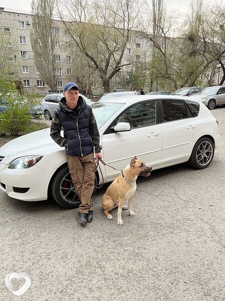 Арсений