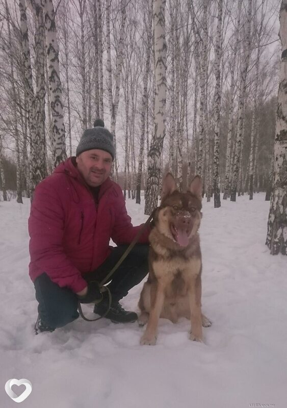 Аркадий