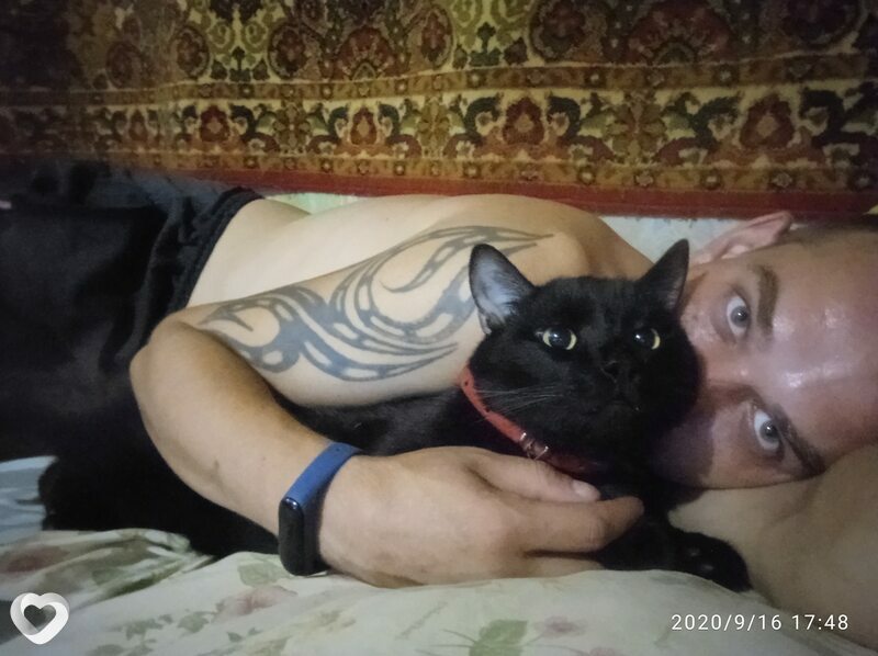 Стёпа