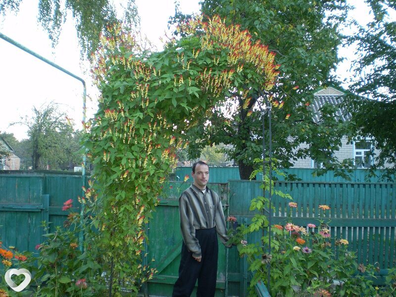 Владислав