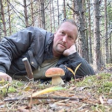 Лев