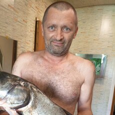 Донат