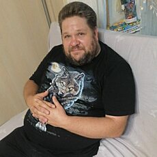 Аркадий