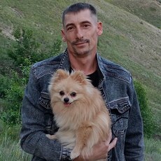 Давид