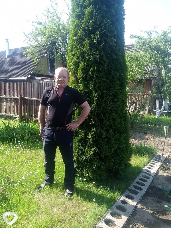 Нестор
