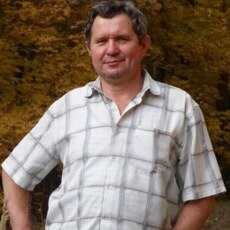 Давидик
