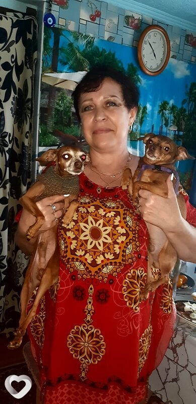 Ангелина