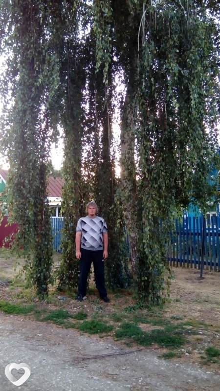 Вова