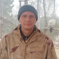 Давидик