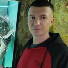 Альбик