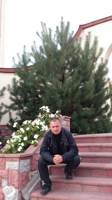 Гена