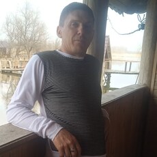 Платоша