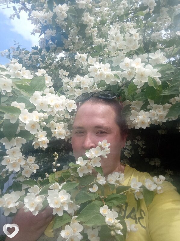 Света