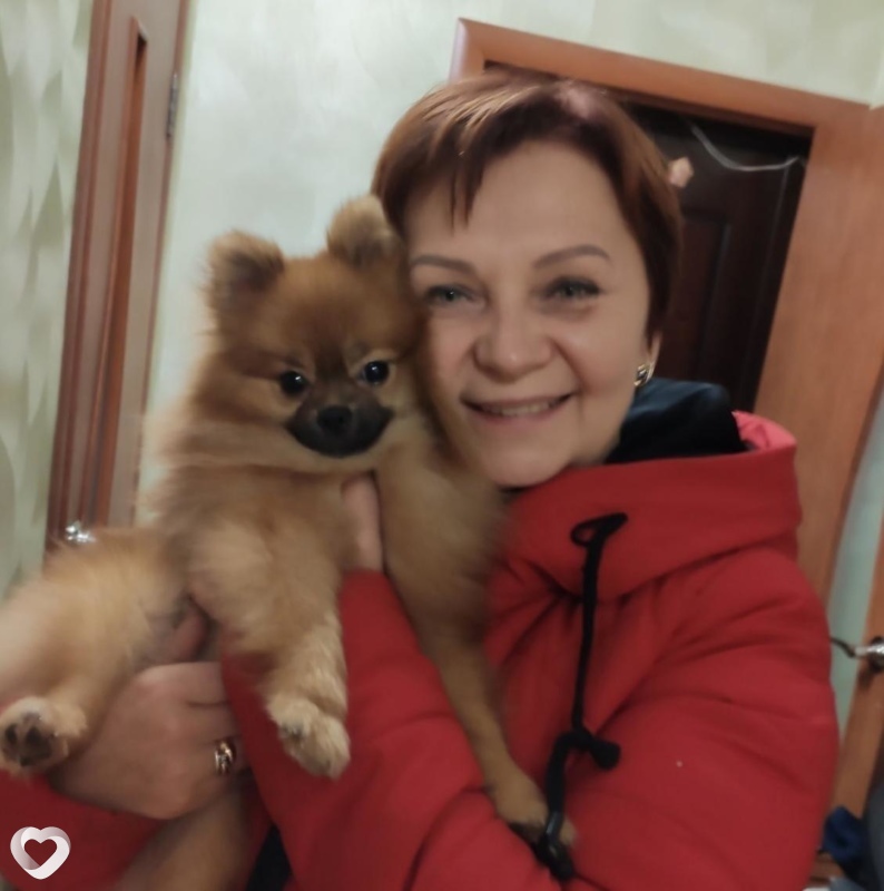 Влада