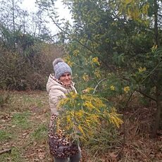 Алина