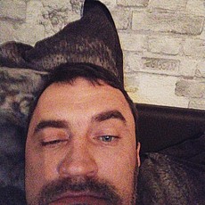 Ян