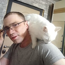 Лев