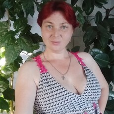 Снежа