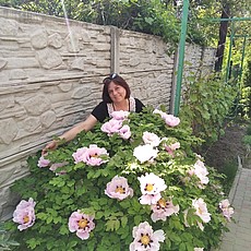 Лина