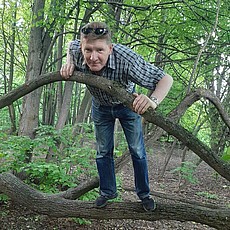 Ярослав