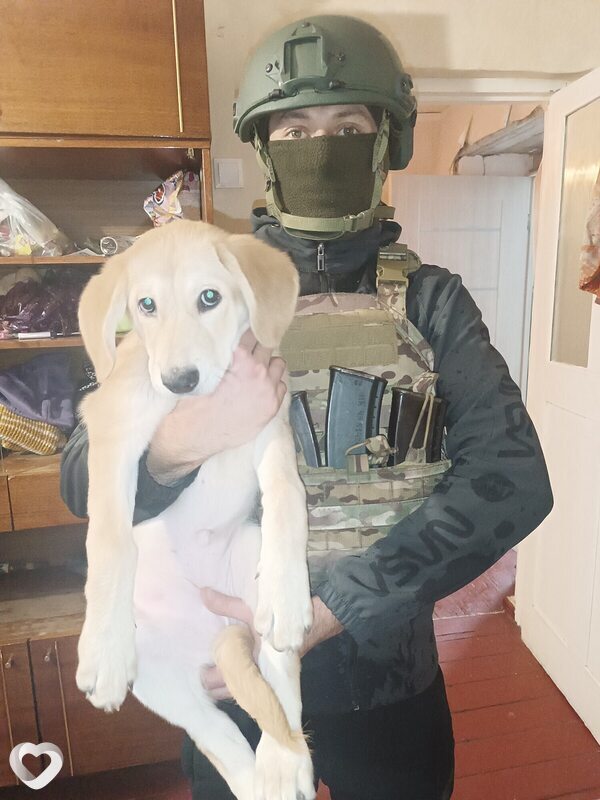 Вова