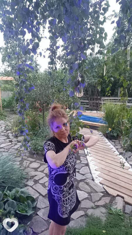 Карина