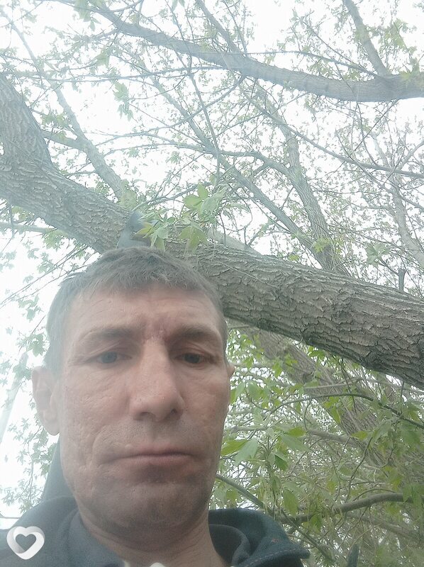Нестор