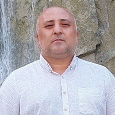 Всеволод