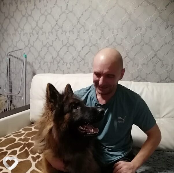 Платоша