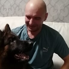 Лев