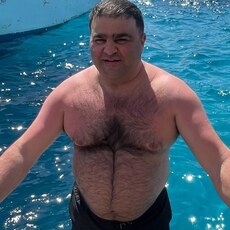 Всеволод