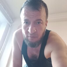Альбик