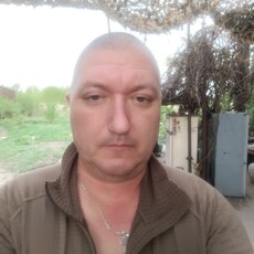 Нестор