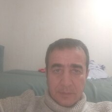 Альбик
