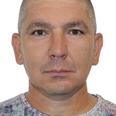 Давидик