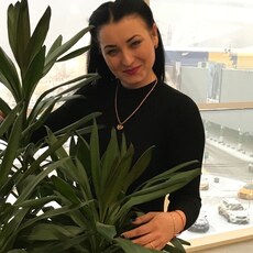 Вита