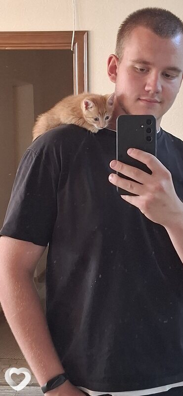 Елисей