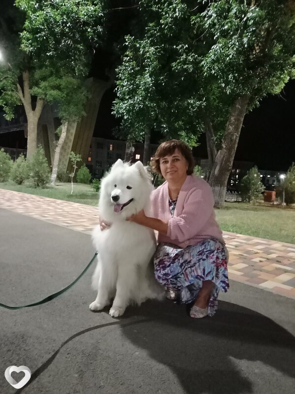 Елена