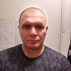Всеволод