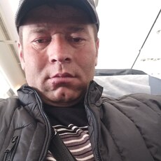 Всеволод