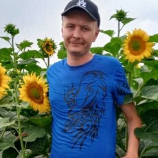 Давидик