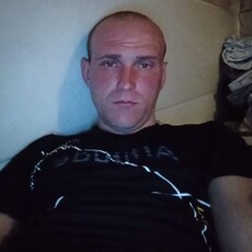 Всеволод